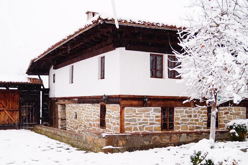 Ecopark Elena Hotel Exterior photo